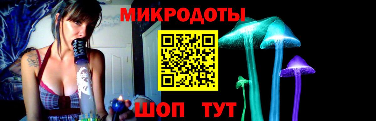 Псилоцибиновые грибы прущие грибы Сыктывкар
